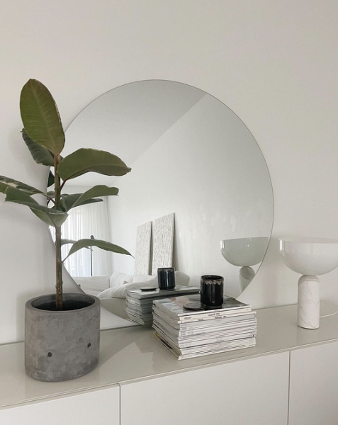 5 комнатных растений для интерьера в стиле минимализм | ivd.ru