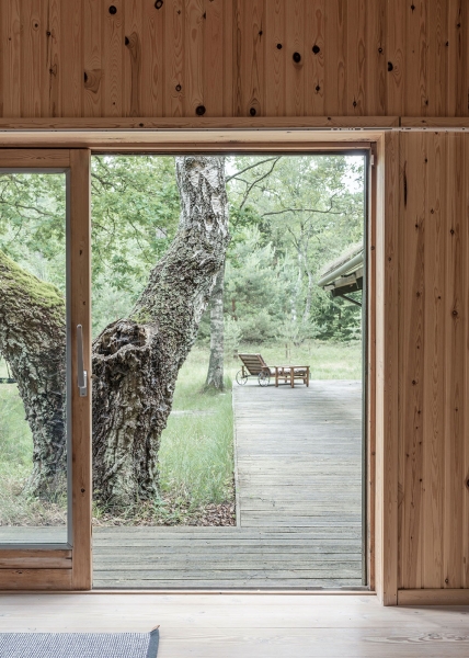 Уютный деревянный домик в лесу, который сливается с природой