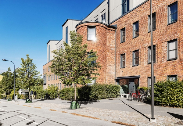 Стильный серый интерьер с тёплыми акцентами в здании бывшей школы в Стокгольме (57 кв. м)