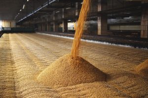 Переробка зерна на борошно в Україні: технології, виробництво, проблеми